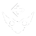 Medi-Drone