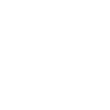 Remote Detonator