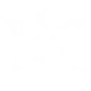 X Machina
